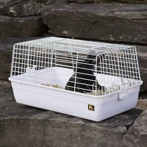 Prevue Pet Products Carina Animal Tubby, Small, White (SP526W)